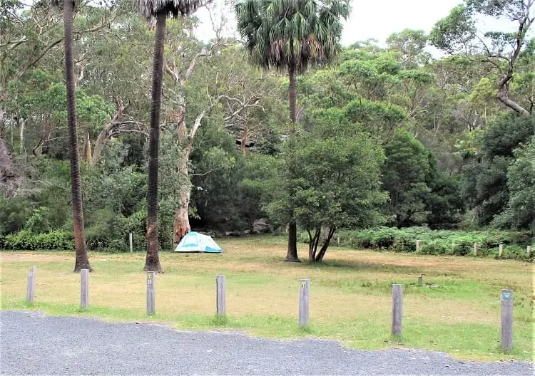 Bonnie Vale campground in the Royal National Park, Australia.
