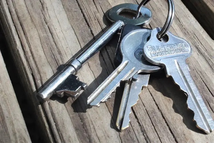 Keys to give to a house sitter.