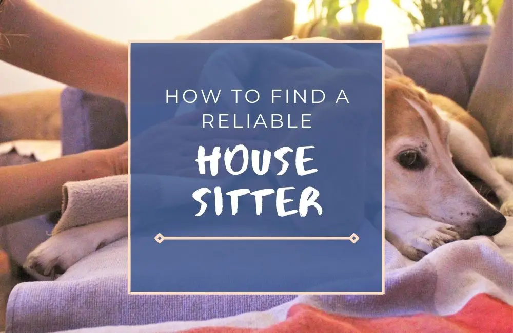 How to Find a Reliable House Sitter: 10-Step Guide
