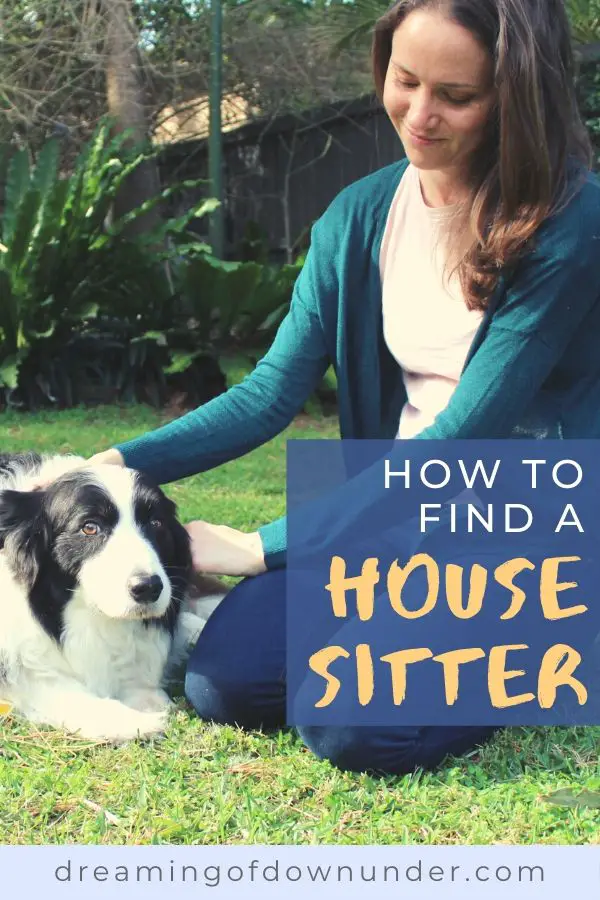 This guide on how to find a reliable house sitter will help you find the right pet sitter for your holidays.