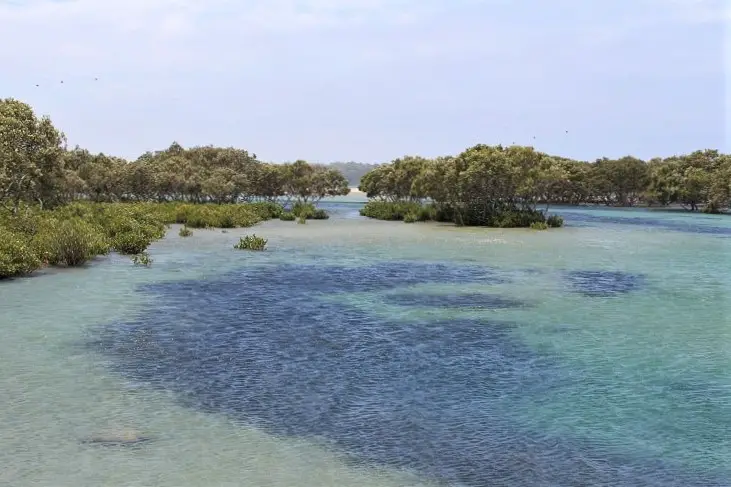 The walk to Maianbar from Bundeena.