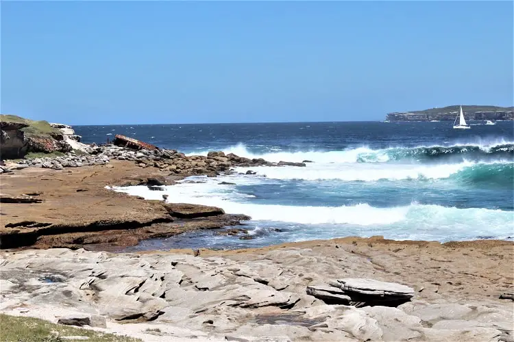 Cape Banks Firetrail near Little Bay.