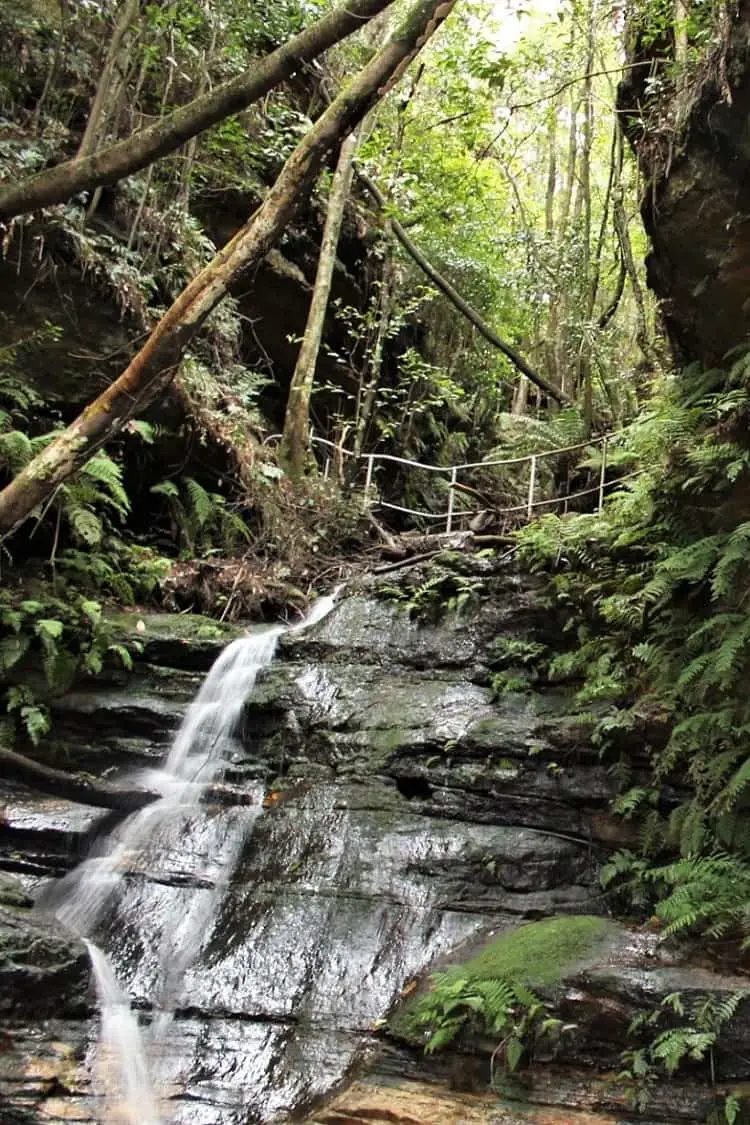 Den Fenella walk - a must-do attraction on your Blue Mountains itinerary.