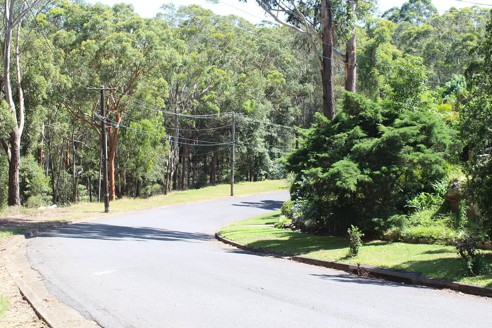 Leafy road in North Rocks, a quiet place to live in Sydney.