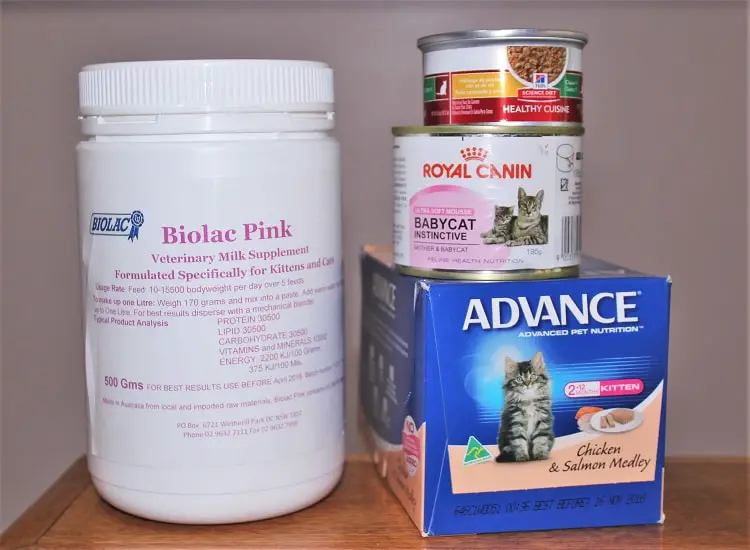 Cat food and medication.