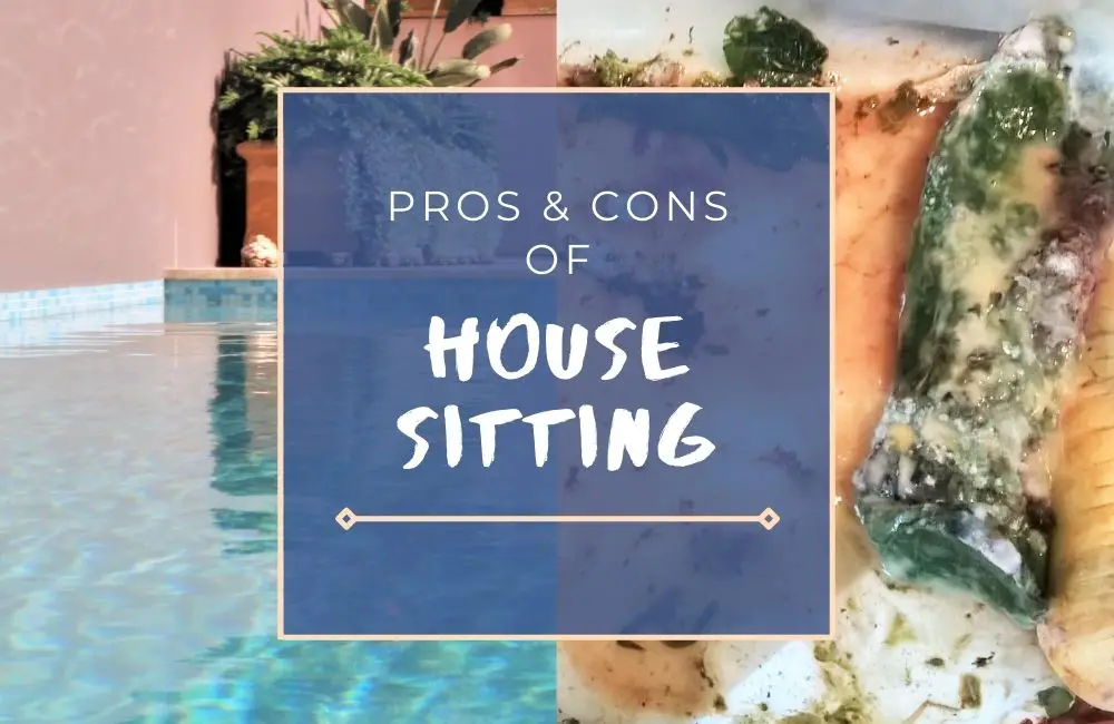 The Pros and Cons of House Sitting: Is it Worth It?