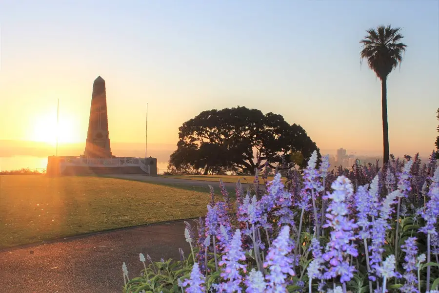 10 Things to Do in Kings Park, Perth