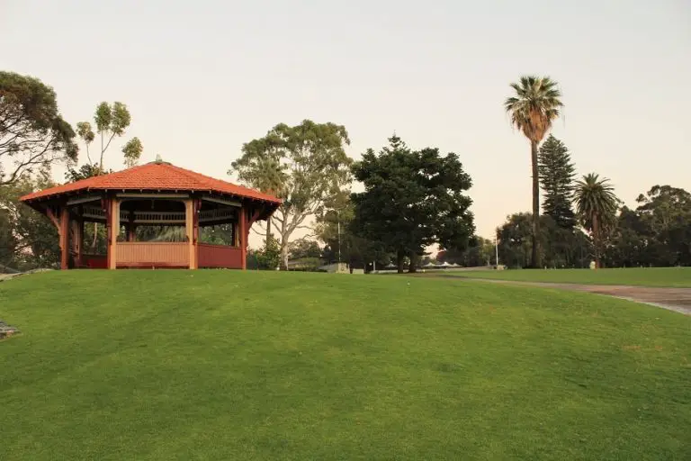 10 Things to Do in Kings Park, Perth Dreaming of Down Under