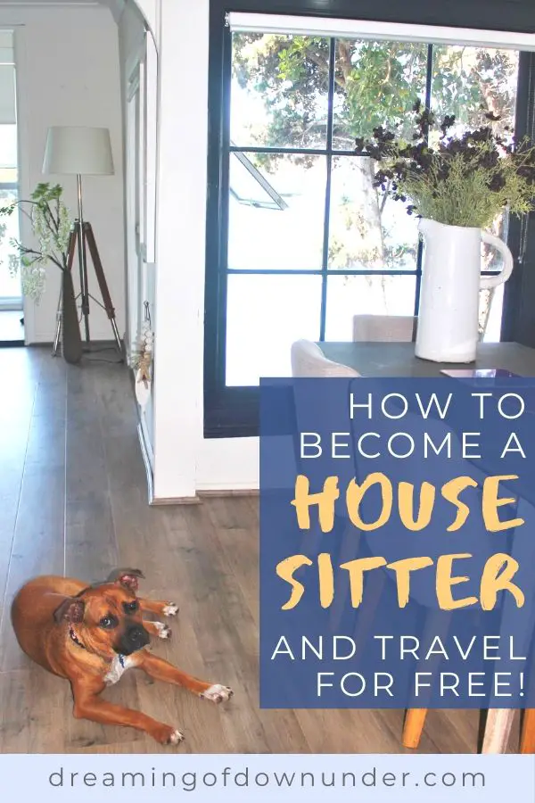 Learn how to start house sitting and get free travel accommodation.
