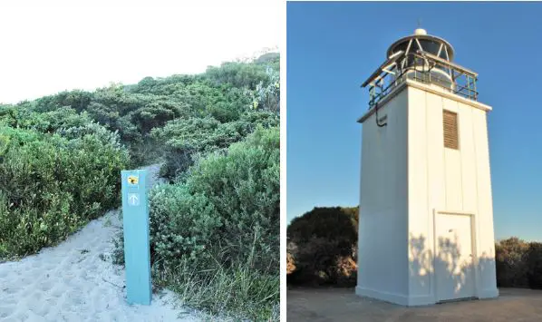 Guide to a beautiful two-hour cliffside walk in Kurnell, Sydney, along the Cape Baily Track, Polo Trail and Cape Solander Track. Explore Kamay Botany Bay National Park, enjoy both ocean views and shrubland, see Australian birds, the Cape Baily Lighthouse and go whale watching at the Cape Solander viewing platform.