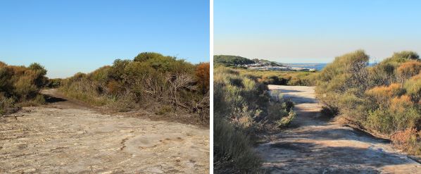 Guide to a beautiful two-hour cliffside walk in Kurnell, Sydney, along the Cape Baily Track, Polo Trail and Cape Solander Track. Explore Kamay Botany Bay National Park, enjoy both ocean views and shrubland, see Australian birds, the Cape Baily Lighthouse and go whale watching at the Cape Solander viewing platform.