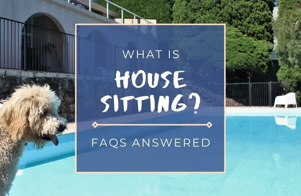 What is House Sitting? Everything You Need to Know