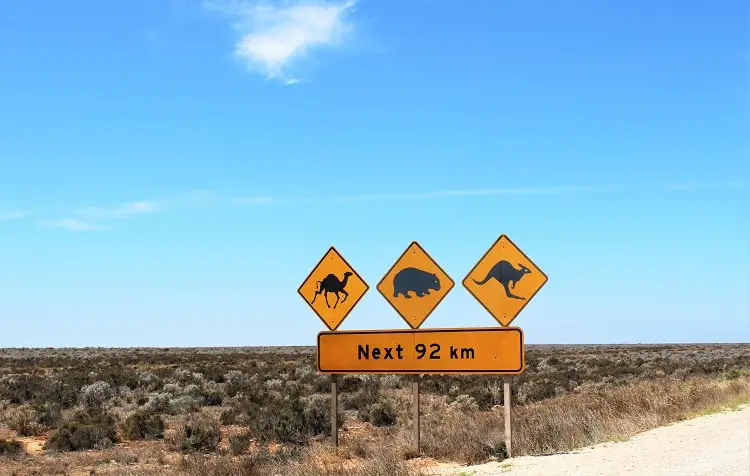 Road sign in Australia warning about camels, wombats and kangaroo.