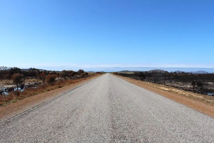 Road through Cape le Grand National Park in WA with burnt trees either side from bushfires.