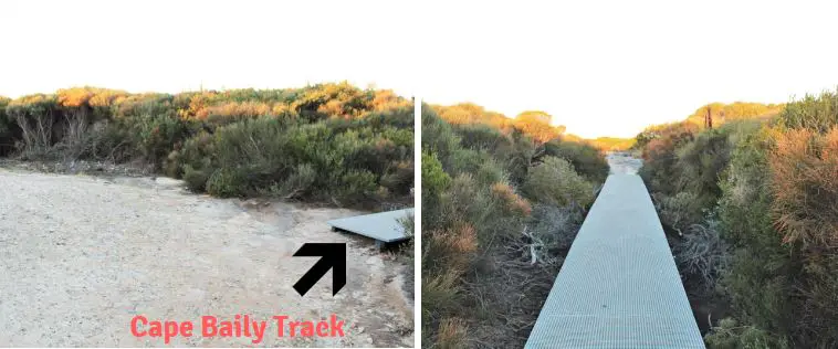 Guide to a beautiful two-hour cliffside walk in Kurnell, Sydney, along the Cape Baily Track, Polo Trail and Cape Solander Track. Explore Kamay Botany Bay National Park, enjoy both ocean views and shrubland, see Australian birds, the Cape Baily Lighthouse and go whale watching at the Cape Solander viewing platform.