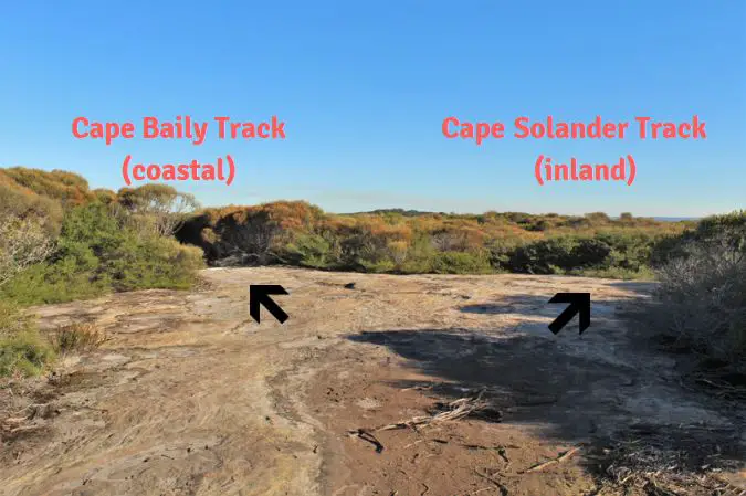 Cape SOlander and Cape Baily trail guide and pictures.