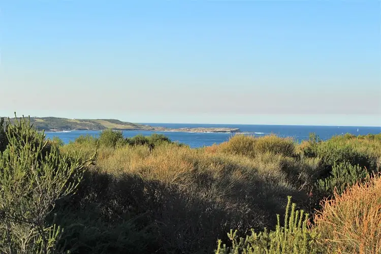 Ocean view towards Sydney from Cape Solander track in Kamay Botany Bay National Park.