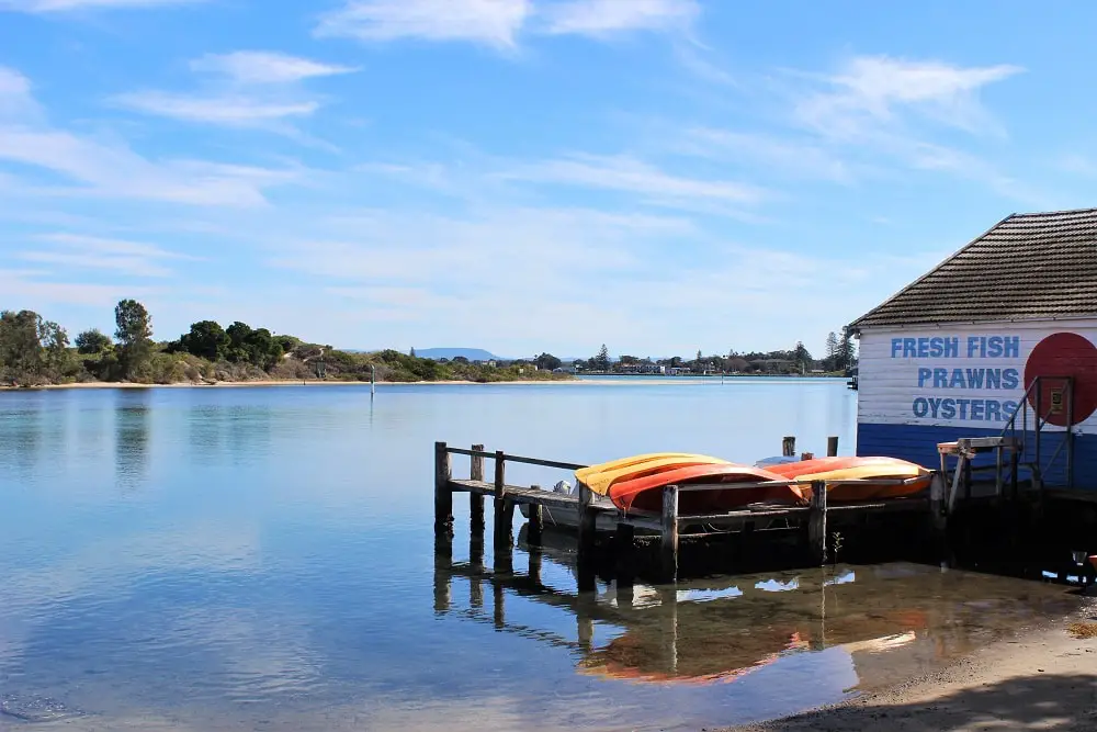 Lake view from Belton Park, Forster, the perfect lunch stop for a Sydney to Brisbane drive itinerary.