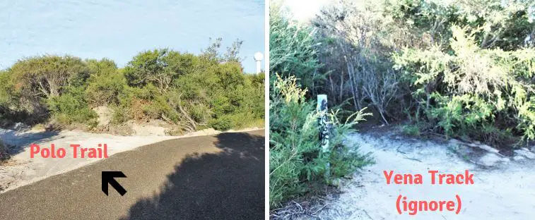 Guide to a beautiful two-hour cliffside walk in Kurnell, Sydney, along the Cape Baily Track, Polo Trail and Cape Solander Track. Explore Kamay Botany Bay National Park, enjoy both ocean views and shrubland, see Australian birds, the Cape Baily Lighthouse and go whale watching at the Cape Solander viewing platform.