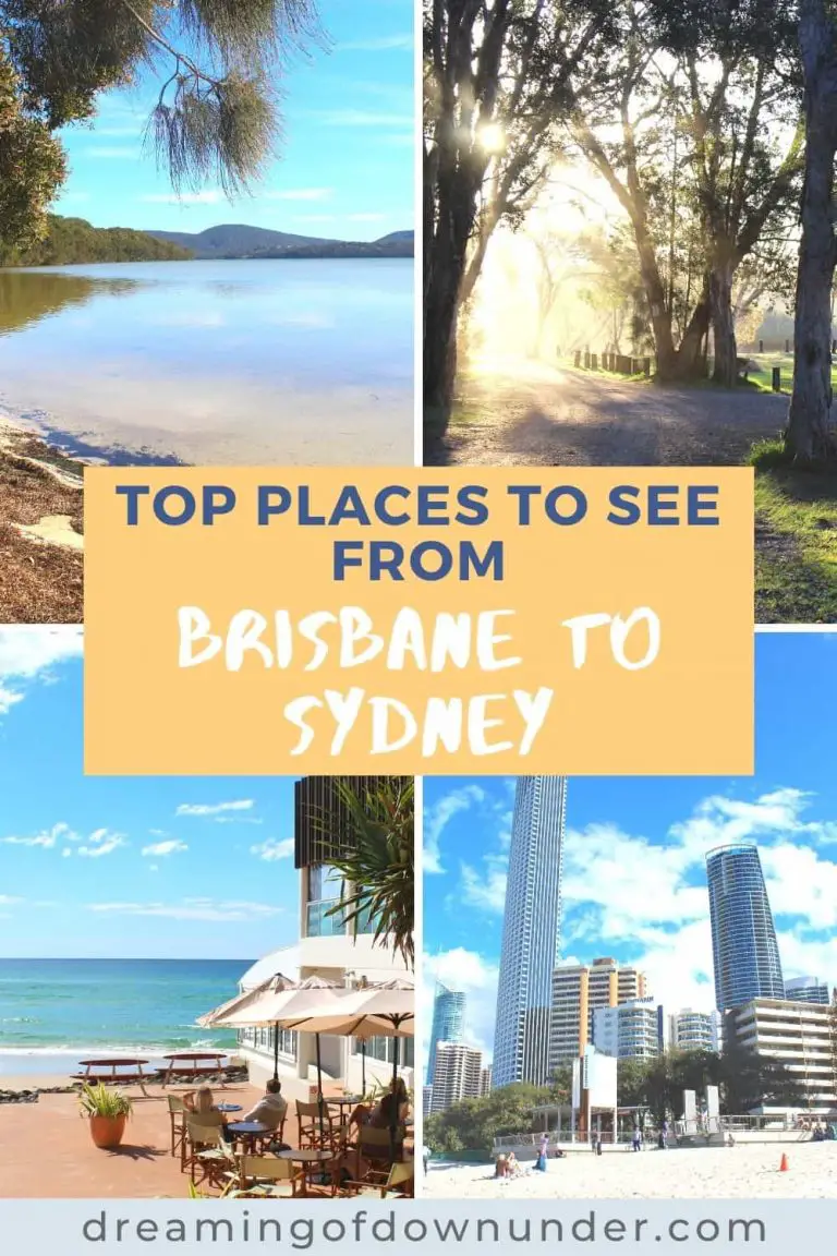 Sydney to Brisbane Drive Itinerary AMAZING East Coast Road Trip