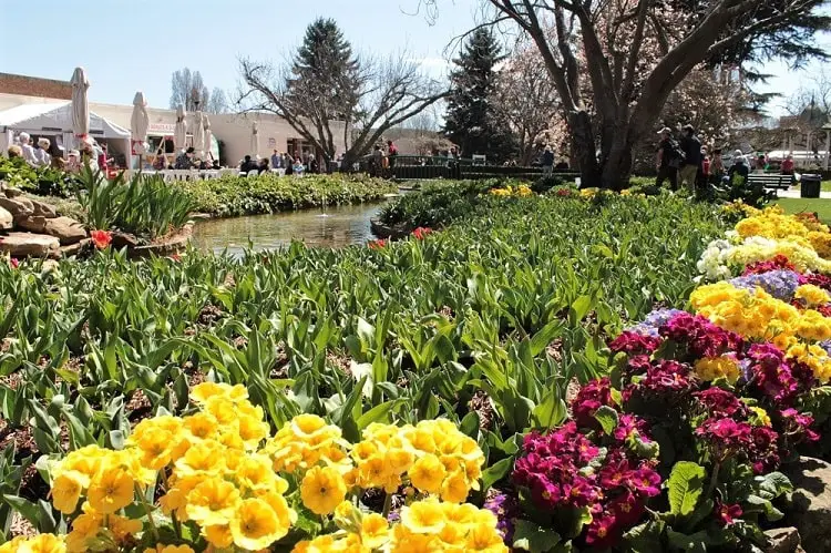 Flowers and parkland at Bowral Tulip Festival in Corbett Gardens, Bowral.