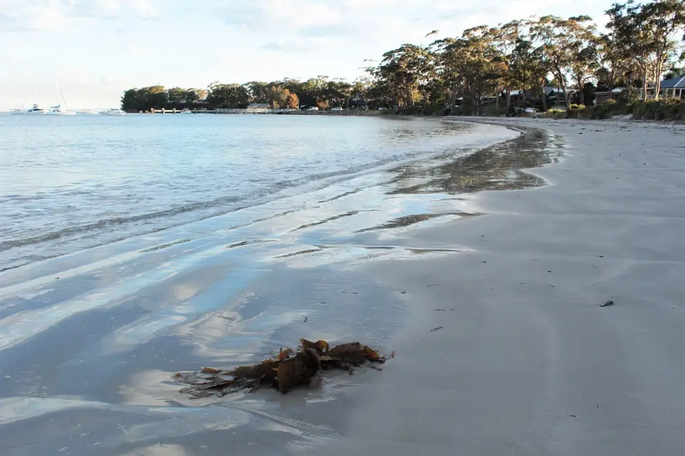 Callalla Bay just before sunset in Shoalhaven, Australia.