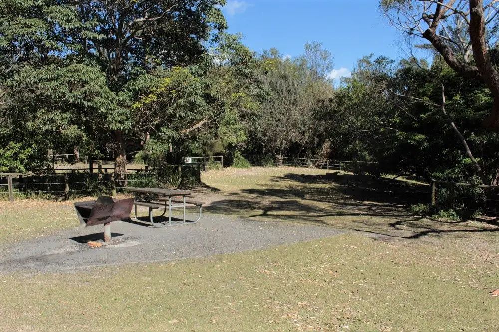 Picnic table at Cave Beach Campground in Booderee National Park.