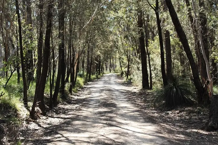 Morton National Park in the NSW Southern Highlands Australia.