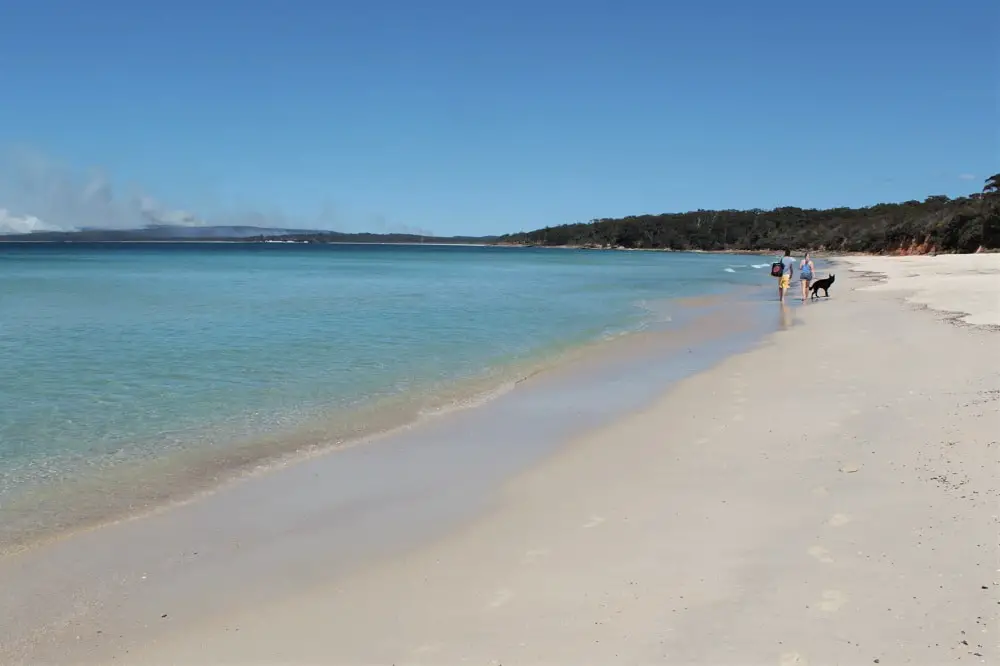 Guide to Jervis Bay beaches from Huskisson to Hyams Beach, including the amazing White Sands Walk, maps, and useful information such as parking, cafes, picnic areas and toilet locations!