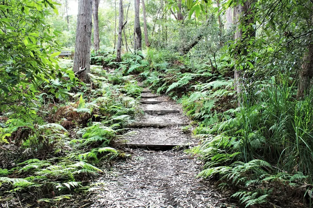 Guide to Jervis Bay beaches from Huskisson to Hyams Beach, including the amazing White Sands Walk, maps, and useful information such as parking, cafes, picnic areas and toilet locations!