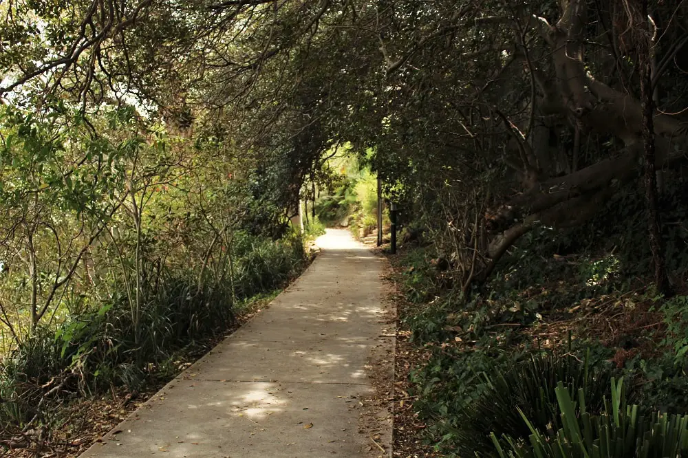 Discover peace and tranquility on this 3km Sydney walk from Mosman Bay to Cremorne Point, passing by Lex and Ruby's Gardens, MacCallum Pool and perfect city views.