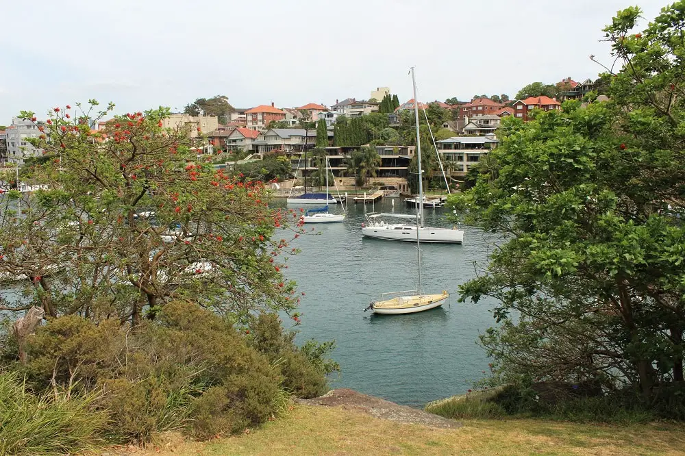 Discover peace and tranquility on this 3km Sydney walk from Mosman Bay to Cremorne Point, passing by Lex and Ruby's Gardens, MacCallum Pool and perfect city views.