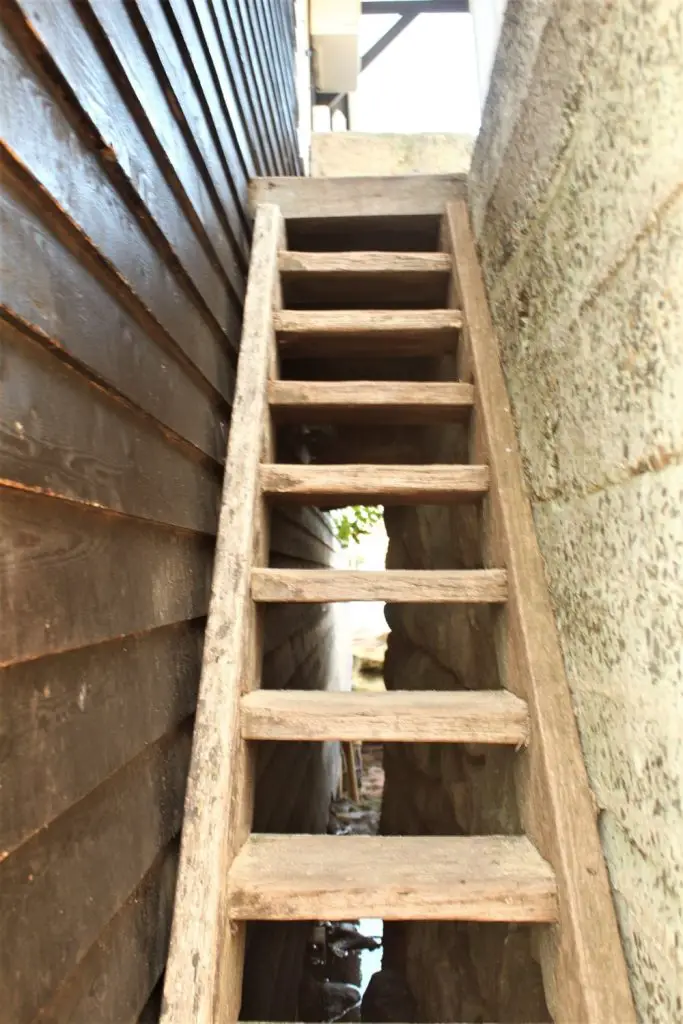 The secret staircase leading down to hidden Kutti Beach in Vaucluse, Sydney.