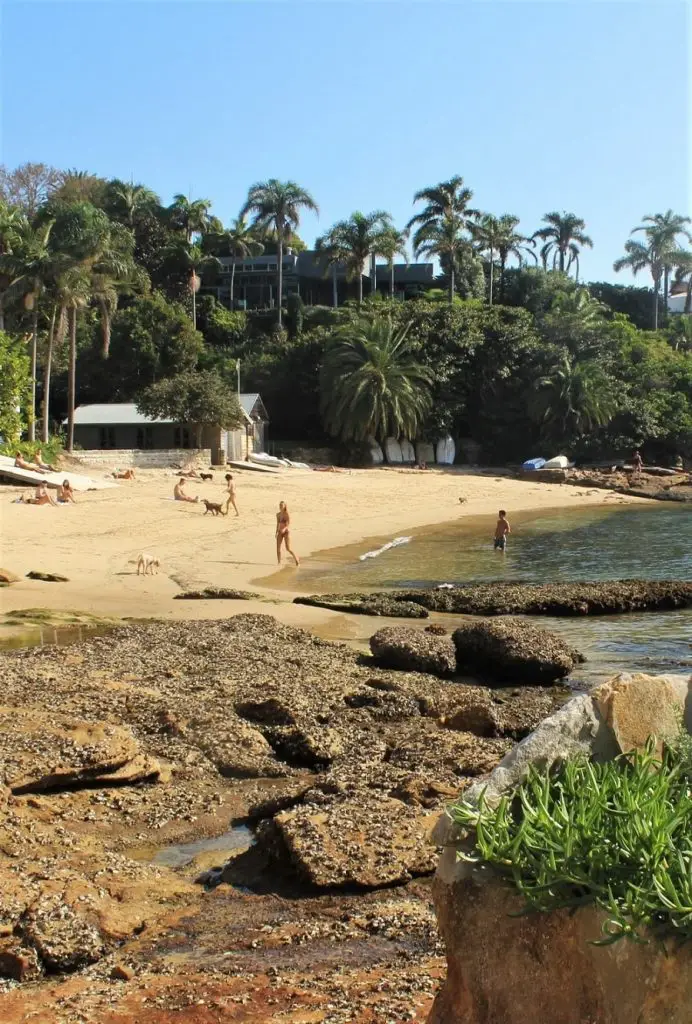 Bathers at hidden Kutti Beach in Vaucluse, with calm, clear water, soft sand and lush surrounding greenery. It's even dog friendly!