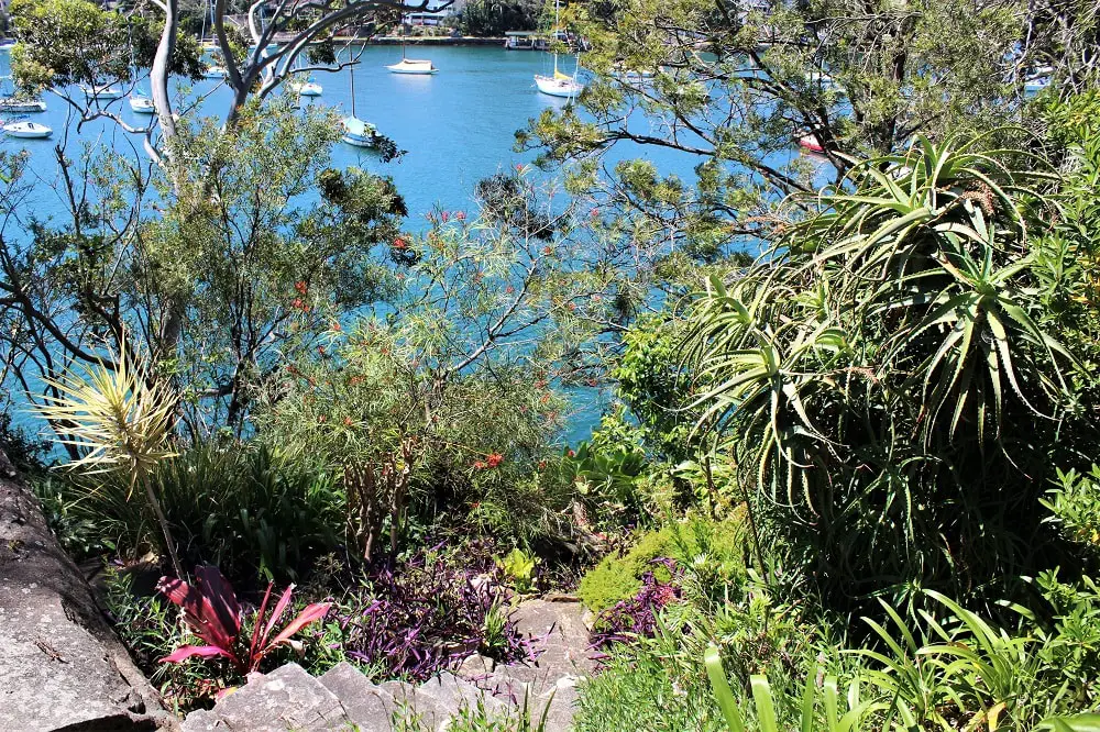 Discover peace and tranquility on this 3km Sydney walk from Mosman Bay to Cremorne Point, passing by Lex and Ruby's Gardens, MacCallum Pool and perfect city views.