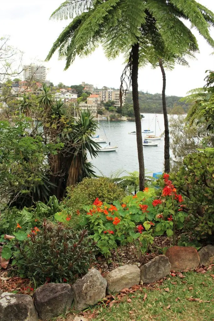 Discover peace and tranquility on this 3km Sydney walk from Mosman Bay to Cremorne Point, passing by Lex and Ruby's Gardens, MacCallum Pool and perfect city views.