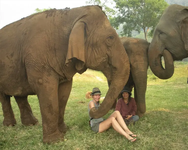 Traveller, Lisa Bull, volunteering at the Elephant Nature Park in Chiang Mai.