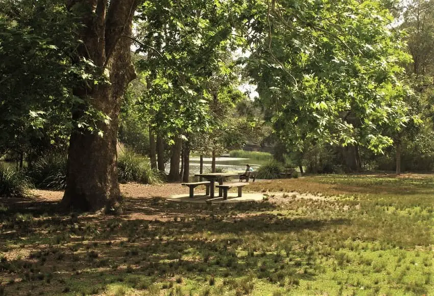 Picnic area at Audley, Royal National Park.