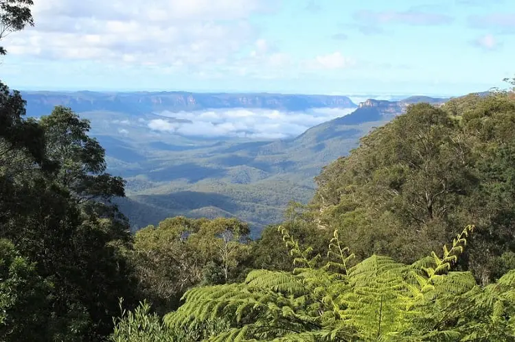 A guide to nine beautiful Blue Mountains lookouts in Katoomba, Leura, Wentworth Falls & Blackheath, including Echo Point lookout and the Three Sisters rock formation. Make the most of your day trip from Sydney to the Blue Mountains, Australia.