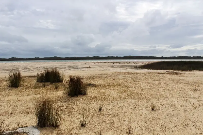 What to do in Yalgorup National Park, Western Australia: visit the ancient Lake Clifton thrombolites, go camping at Preston Beach, follow woodland walking trails, see plenty of Australian wildlife & possibly Christmas spiders!