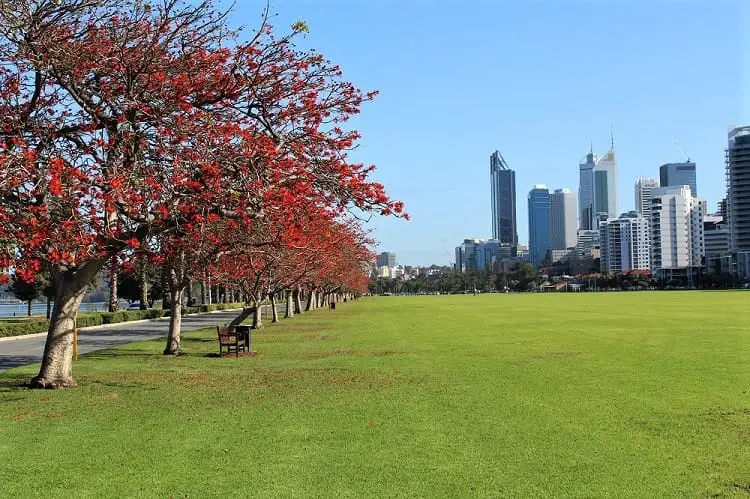 Pretty park area by the river in Perth.