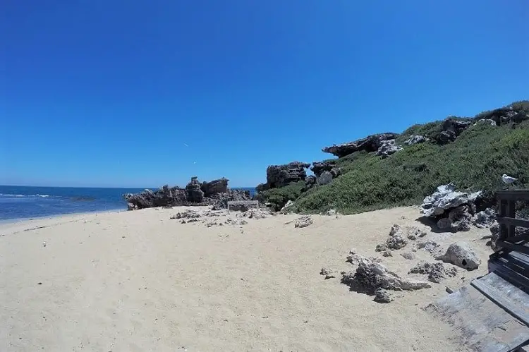 Nice beach in Shoalwater, Western Australia.