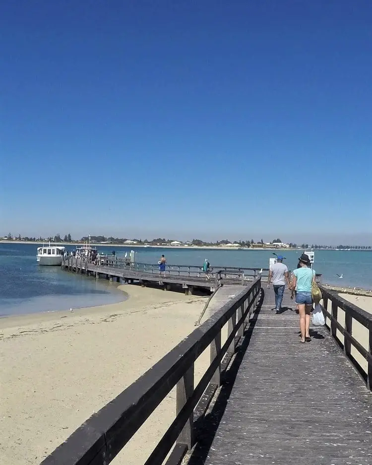 Woman on the boardwalk to the Penguin Island ferry, Western Australia.