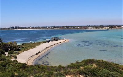 Penguin Island Day Trip Guide: Rugged Wilderness Near Perth