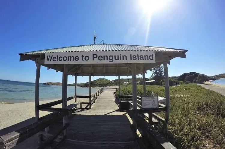 Wharf at Penguin Island, WA.