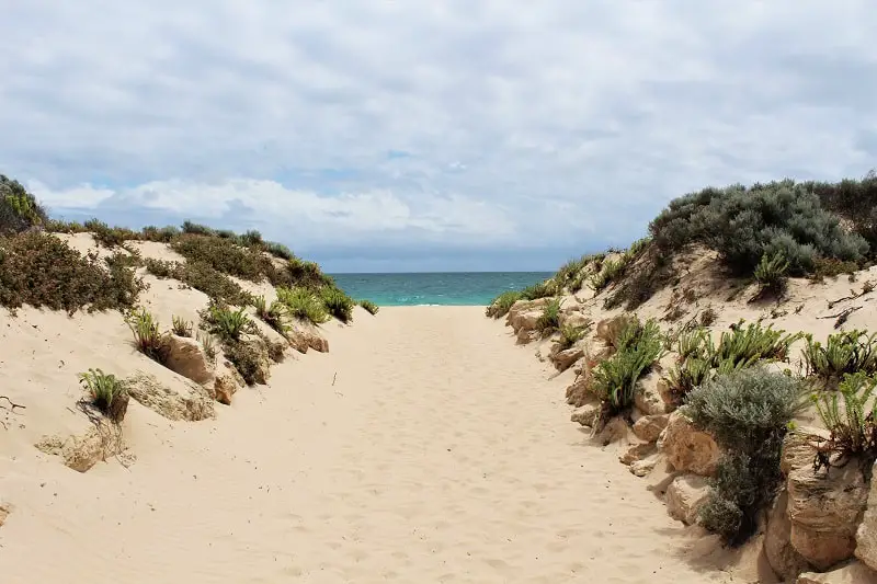 What to do in Yalgorup National Park, Western Australia: visit the ancient Lake Clifton thrombolites, go camping at Preston Beach, follow woodland walking trails, see plenty of Australian wildlife & possibly Christmas spiders!