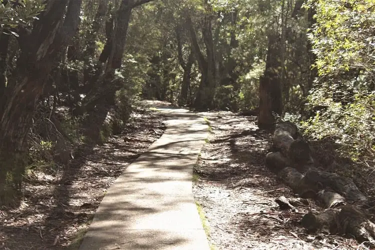 A guide to nine beautiful Blue Mountains lookouts in Katoomba, Leura, Wentworth Falls & Blackheath, including Echo Point lookout and the Three Sisters rock formation. Make the most of your day trip from Sydney to the Blue Mountains, Australia.