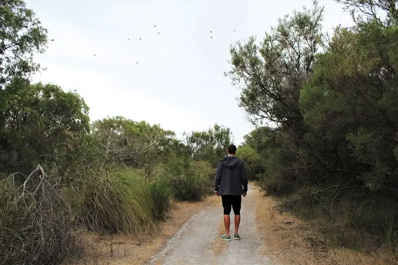 What to do in Yalgorup National Park, Western Australia: visit the ancient Lake Clifton thrombolites, go camping at Preston Beach, follow woodland walking trails, see plenty of Australian wildlife & possibly Christmas spiders!