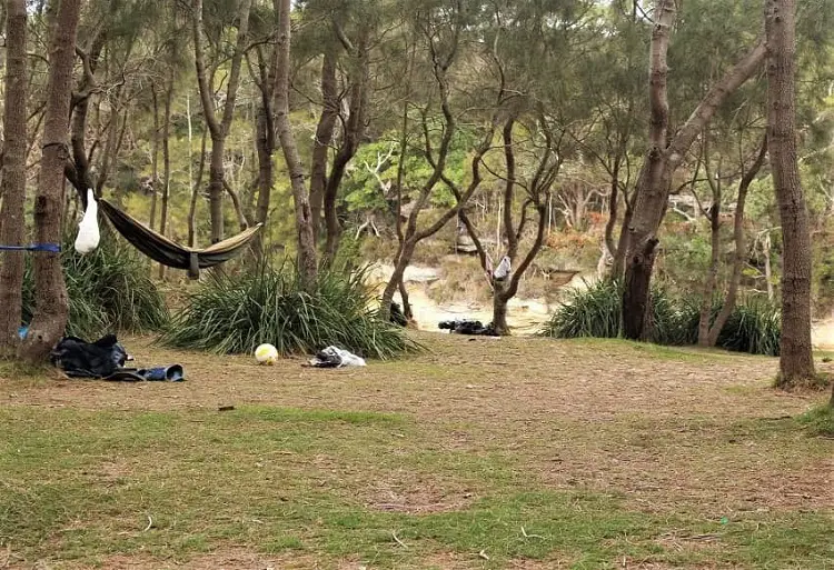 Hammock in the trees in the Royal National Park.