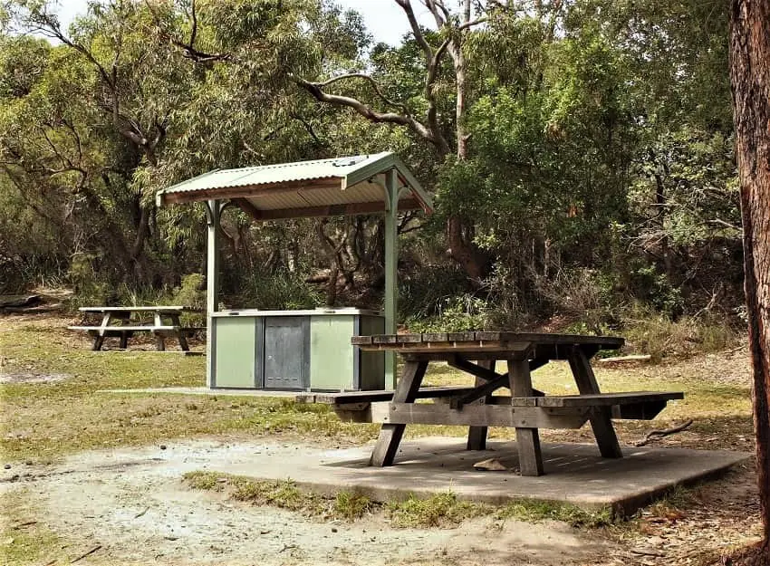 Barbecues and picnic tables at Wattamolla picnic area.